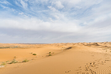 sand dunes in the desert