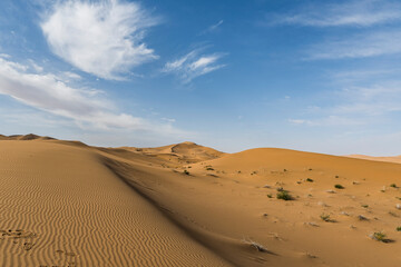 sand dunes in the desert