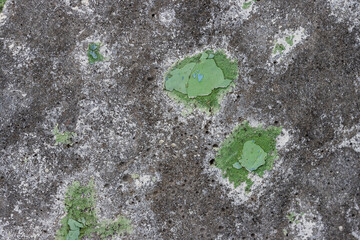 Green peeling paint on the wall. Old concrete wall with cracked flaking paint. Weathered rough painted surface with patterns of cracks and peeling. High resolution texture for background and design.