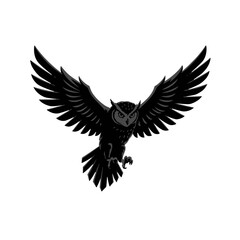 Obraz premium Black Owl in Flight
