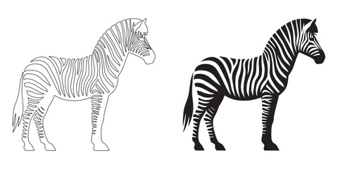 Zebra silhouette with detailed lineart and vector precision – great for logos, labels, and prints – zebra vector – zebra illustration – zebra icon – zebra lineart – zebra line art

