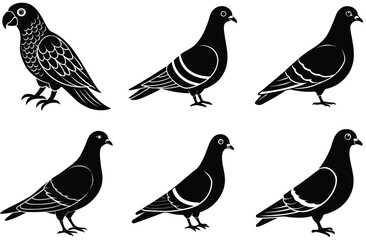 Cute vector bird silhouettes, a spring collection of nature's winged art