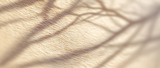 soft textured surface with delicate shadows creating artistic pattern evokes sense of calm and tranquility. This legal automotive car insurance