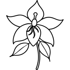 Fototapeta premium black and white flower