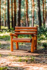 Rustic Wooden Chair in Forest Setting Sunny Day