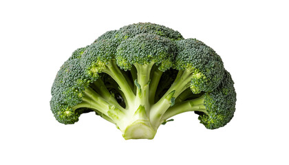 Broccoli on transparent background, generated by AI.