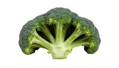 Broccoli on transparent background, generated by AI.