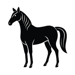 black horse vector illustration