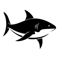 Fototapeta premium shark vector illustration