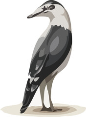 duck on white background