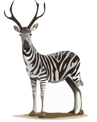 zebra vector illustration