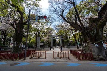 大国魂神社　府中市　東京都