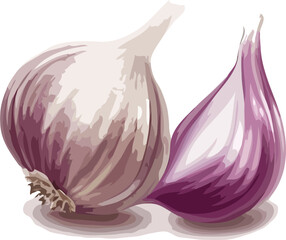 garlic vector art