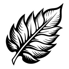 Obraz premium Detailed Tropical Leaf Design for Tattoo Art and Coloring Pages