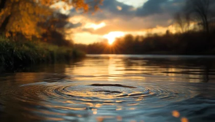 Papier peint photo Rivière en forêt Ripples on a river at sunset, reflecting golden light.  © yusilva