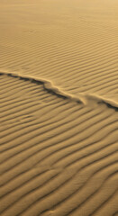 sand dunes stretch in parallel rows to the horizon