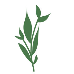 Obraz premium bamboo leaves