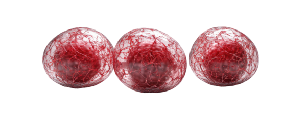 3D Stem Cell Visualization on transparent background
