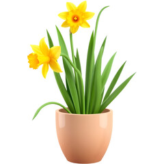 Cheerful yellow daffodils in a terracotta pot. Spring vibes!
