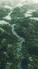 Misty Rainforest River Valley