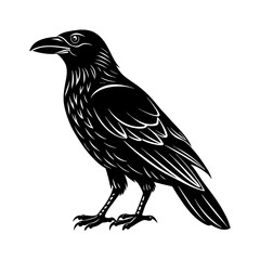 Fototapeta premium Download Crow , Silhouette Vector Illustrate Svg File For Design.