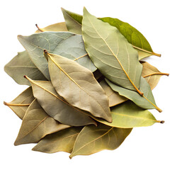 dried bay leaves 