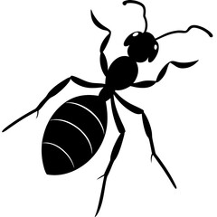 Ant silhouette vector illustration