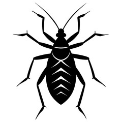 Assassin bug silhouette vector illustration
