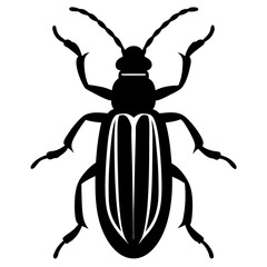 Bark beetle silhouette vector illustration