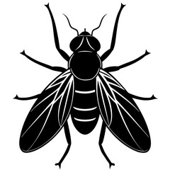 Blowfly silhouette vector illustration