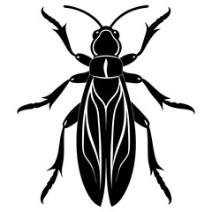 Boxelder bug silhouette vector illustration