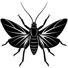 Broad winged katydid silhouette vector illustration 