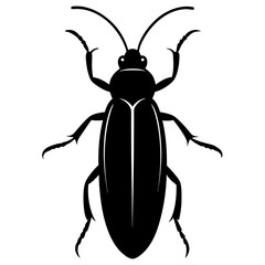 Click beetle silhouette vector illustration 