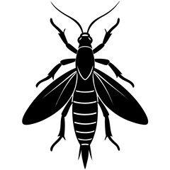 Dobsonfly silhouette vector illustration 