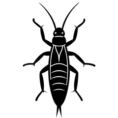 Earwig silhouette vector illustration 