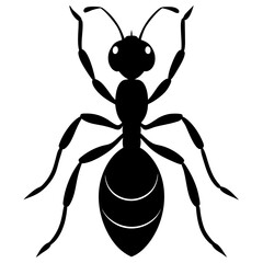 Fire Ant silhouette vector illustration 