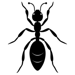 Fire Ant silhouette vector illustration 