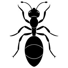 Fire Ant silhouette vector illustration 