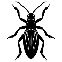 Rice weevil silhouette vector illustration 