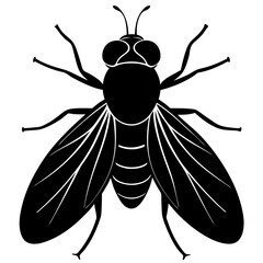 Fruit fly silhouette vector illustration 