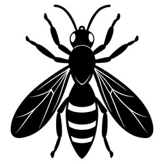 Gall wasp silhouette vector illustration 