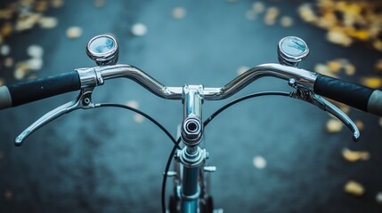 Intimate perspective showcasing classic bicycle handlebars amidst autumn scenery