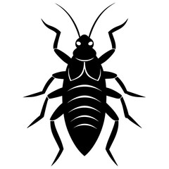 Head louse silhouette vector illustration 
