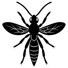 Mud dauber silhouette vector illustration 