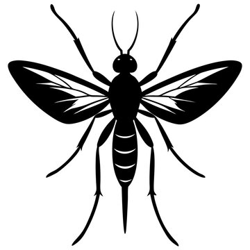 Phantom midge silhouette vector illustration 
