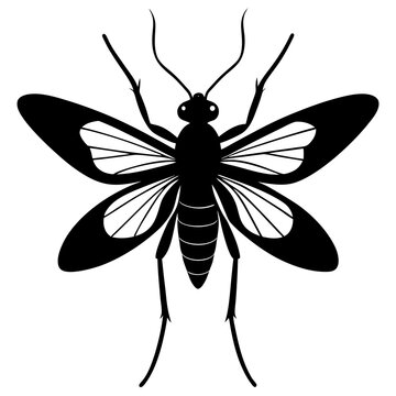Phantom midge silhouette vector illustration 