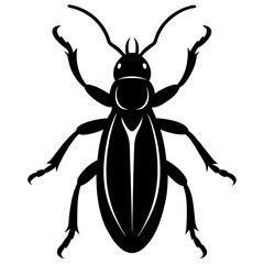 Rice weevil silhouette vector illustration 