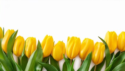 bouquet of yellow tulips