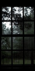 A Window on a Rainy Day, a Cozy and Intimate View into Nature