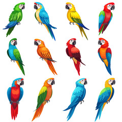 Colorful parrot illustration set tropical bird collection macaw species exotic pet design vibrant plumage on transparent background
